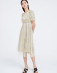Embroidered A-line Mesh Short-sleeved Dress