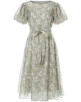 Crewneck Floral A-Line Mesh Dress