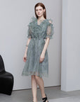 V-neck Floral A-line Mesh Dress