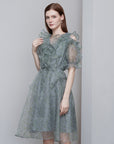V-neck Floral A-line Mesh Dress