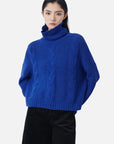 Trendy Turtleneck Dropped Shoulder Knit Sweater