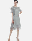 Polka Dot Round Neck Mesh A-line Dress