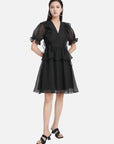 V-Neck A-line Mesh Puff Sleeve Dress