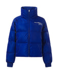 Stand-up Collar Shiny Goose Down Jacket