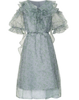 V-neck Floral A-line Mesh Dress
