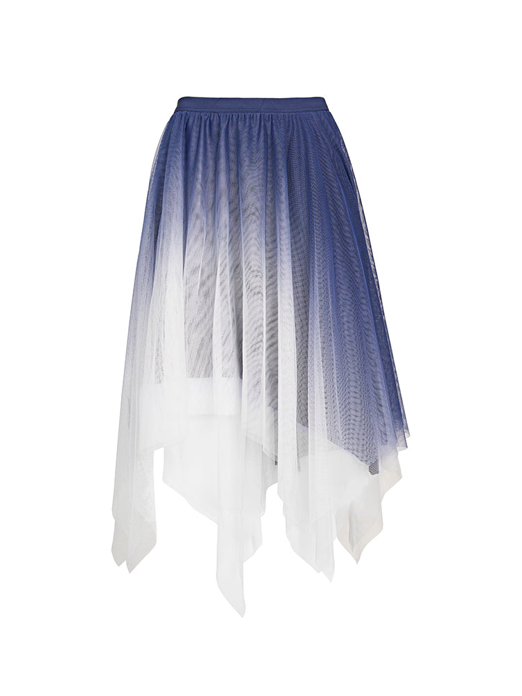 Gradient Color Mesh A-Line Skirt