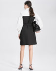 Trench Style Shirt Collar Pleated Dress