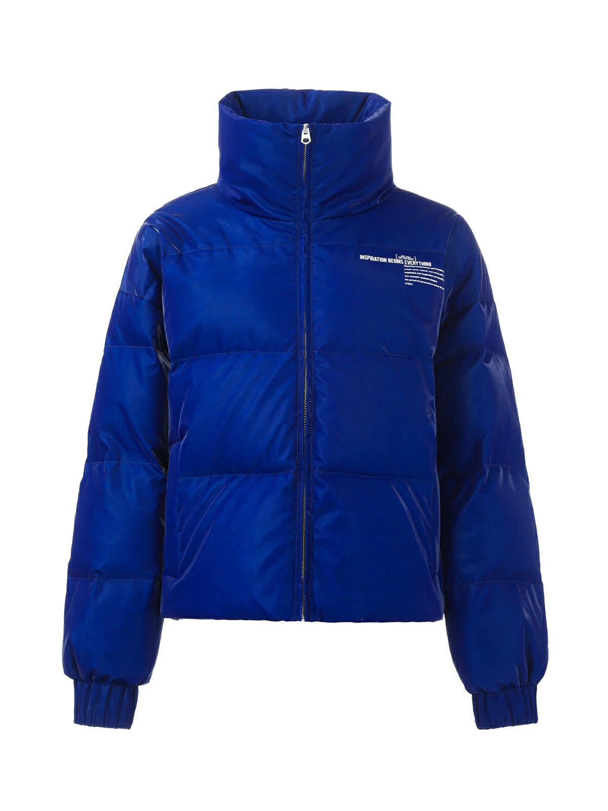 Stand-up Collar Shiny Goose Down Jacket
