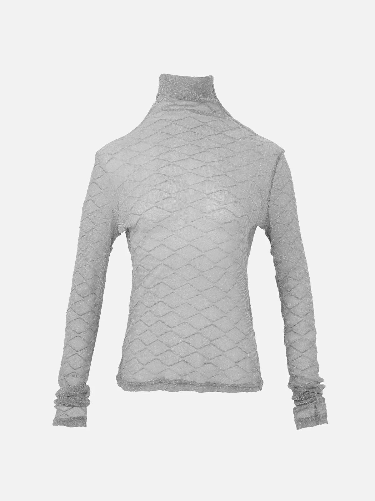 Turtleneck Textured Sheer Mesh Top