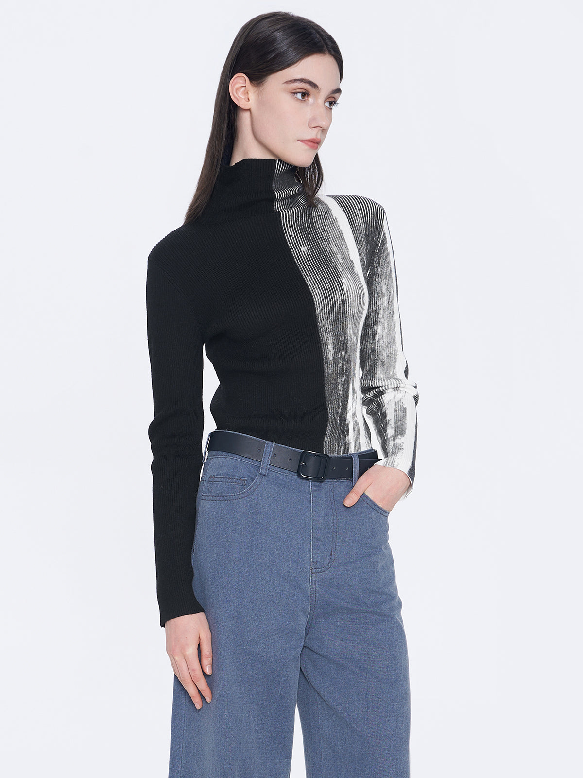 Colorblock Turtleneck Sweater