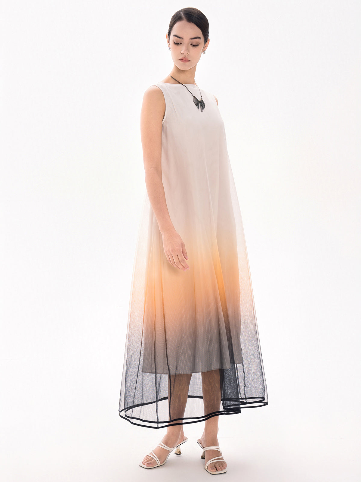 Ombre Sleeveless Mesh Maxi Dress