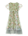 Floral Mesh Layer A-line Dress