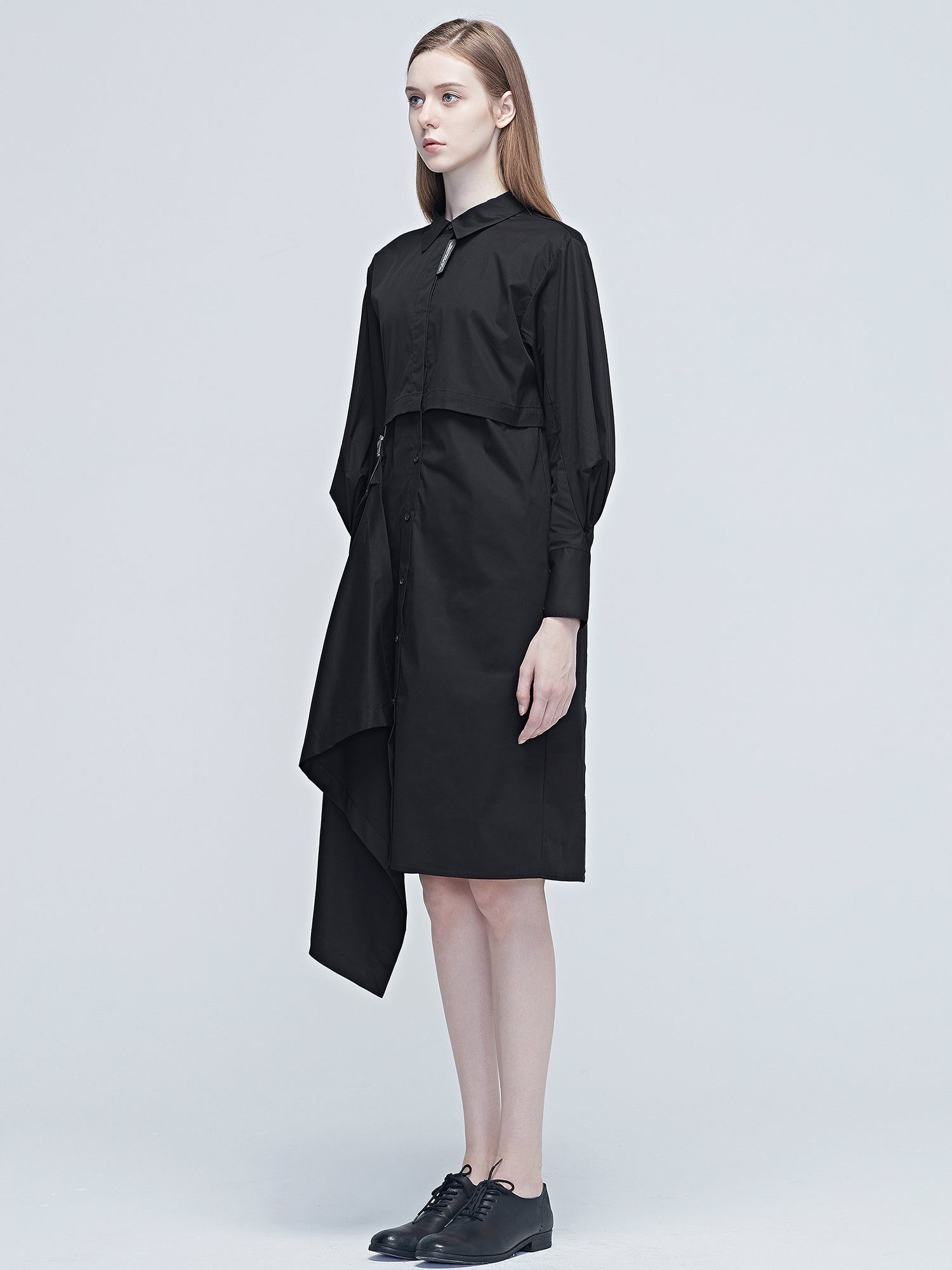 Irregular Panel Lapel Dress